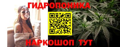 хмурый Аргун