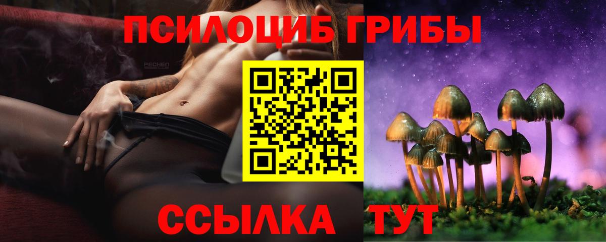 Псилоцибиновые грибы прущие грибы  Вход с VPN  Апрелевка 